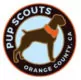 3pupscouts
